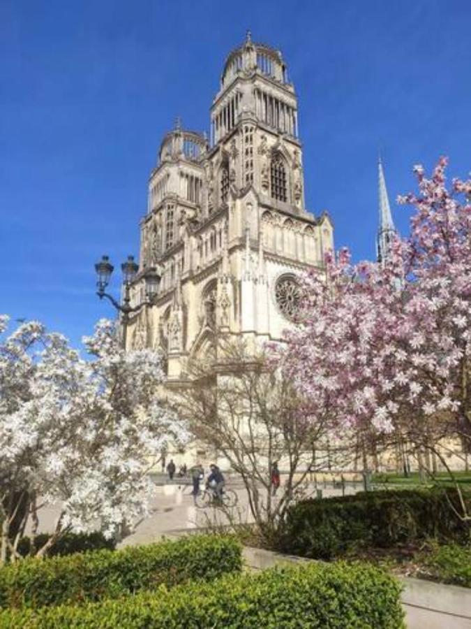 The Garden, Proche Bord De Loire Apartment Orleans Exterior photo